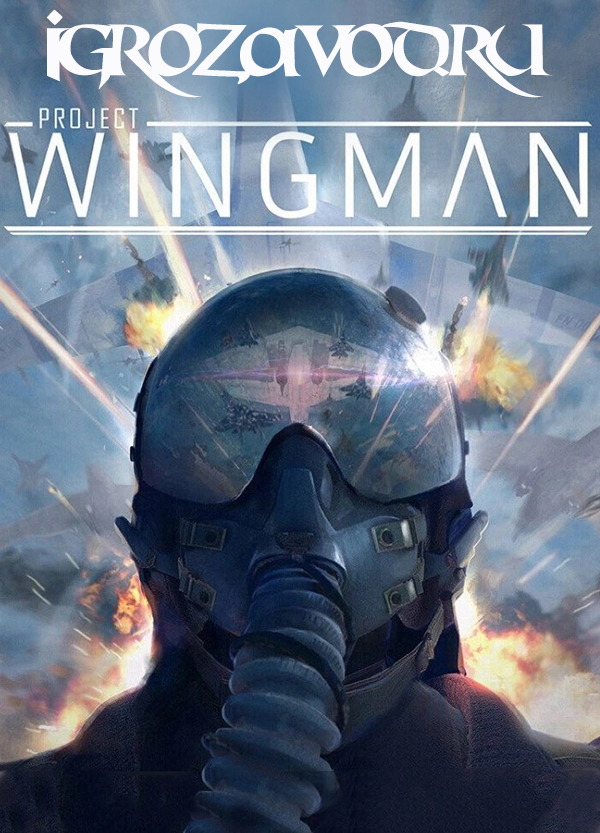 Project Wingman / Проект «Ведомый»